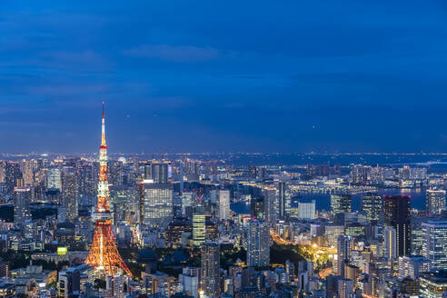 Japan, Kanto-Region, Tokio, Stadtzentrum in der Abenddämmerung mit Tokio-Turm im Vordergrund - FOF12881