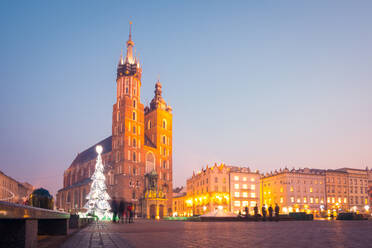 Weitläufiger berühmter Platz mit mittelalterlichen Gebäuden und einer Kirche auf einem gepflasterten Weg in der Nähe eines leuchtenden Weihnachtsbaums an einem Winterabend in Polen - ADSF33653