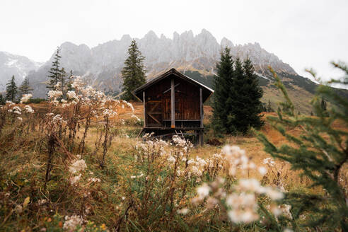 Small wooden cabin located on grassy slope of mountain in autumn misty weather in Austria - ADSF33660