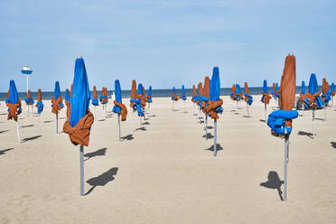 Sonnenschirme auf Sand am Strand - SSCF01001