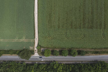 Drohnenansicht einer Landstraße, die sich am Rand einer grünen Wiese entlangzieht - ASCF01663