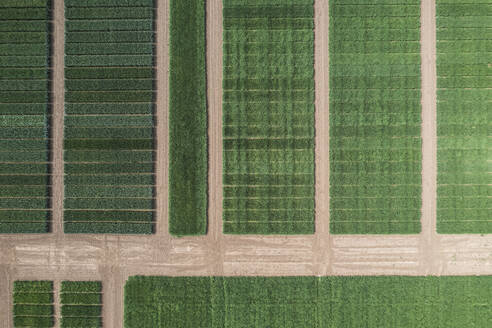 Drone view of green field with interconnecting footpaths - ASCF01665