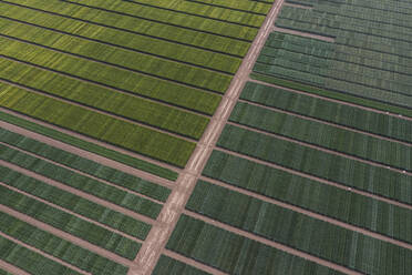 Drohnenansicht einer grünen Wiese mit verbindenden Fußwegen - ASCF01669