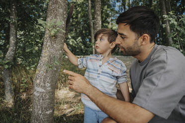 Vater und Sohn betrachten einen Baum in der Natur - MFF08683