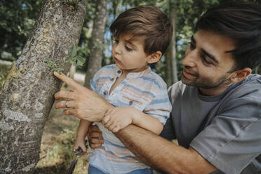 Vater und Sohn betrachten einen Baum - MFF08684