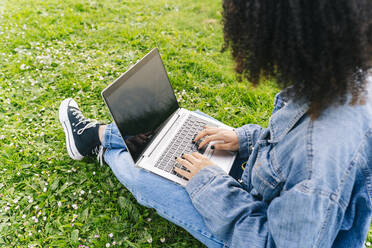 Frau mit Laptop im Park sitzend - DGOF02332