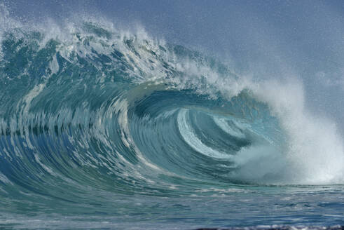 Large splashing wave of Pacific Ocean - RUEF03516