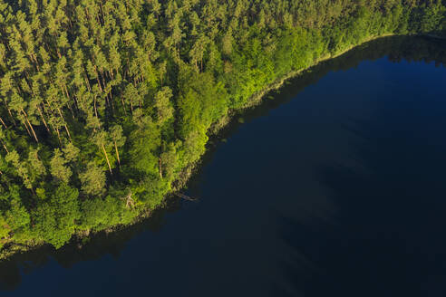 Luftaufnahme des bewaldeten Ufers des Giesenschlagsees im Sommer - RUEF03541