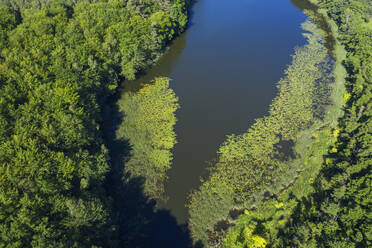 Luftaufnahme des Gobenowsees im Sommer - RUEF03544