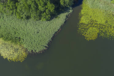 Luftaufnahme der grünen Oberfläche des Klenzsees im Sommer - RUEF03545