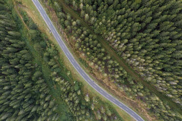 Drohnenansicht einer asphaltierten Straße im Schwarzwald - RUEF03548
