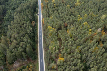 Drohnenansicht einer asphaltierten Straße, die durch einen grünen Herbstwald führt - RUEF03564