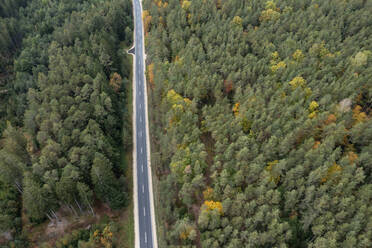 Drone view of asphalt road cutting through green autumn forest - RUEF03564