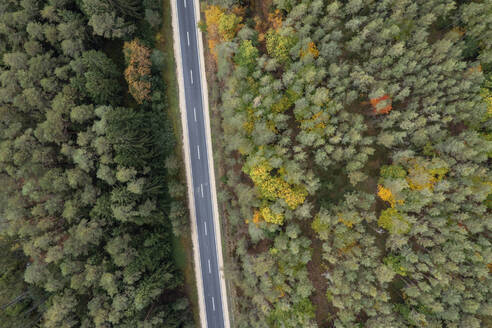 Drohnenansicht einer asphaltierten Straße, die durch einen grünen Herbstwald führt - RUEF03565