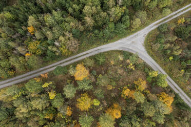 Drone view of dirt road cutting through green autumn forest - RUEF03570