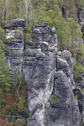 Bastei-Felsformation im Elbsandsteingebirge - JTF01983