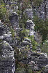 Bastei-Felsformation im Elbsandsteingebirge - JTF01985