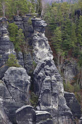 Bastei-Felsformation im Elbsandsteingebirge - JTF01986