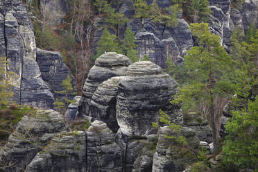 Bastei-Felsformation im Elbsandsteingebirge - JTF01991