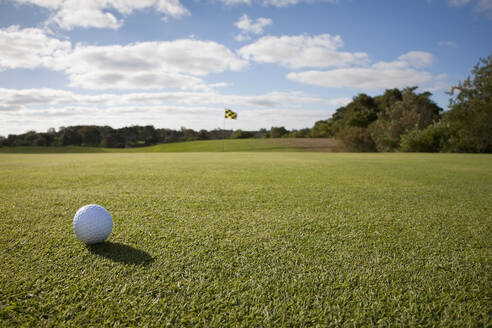 Golfball auf Gras auf dem Golfplatz - TETF00042