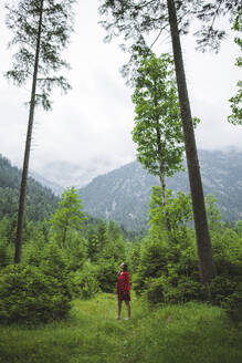 Junge Frau mit roter Jacke im Wald - TETF00078