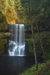 Silver Falls State Park, Blick auf einen Wasserfall im Wald - TETF00268