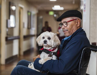 Älterer Mann hält Hund im Rollstuhl - TETF00318