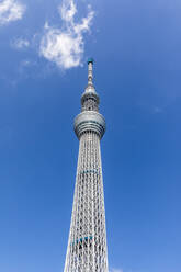 Japan, Region Kanto, Tokio, Tokio Skytree vor blauem Himmel - FOF12908