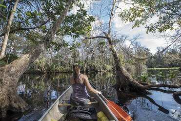 Eine Frau paddelt im Kanu an Mangrovenbäumen auf dem Wakiwa-Fluss vorbei. - CAVF95377