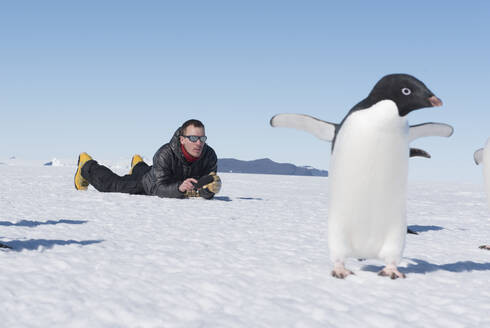 Ein Mann hat in der Antarktis eine enge Begegnung mit einem Adeliepinguin. - CAVF95381