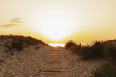 Boardwalk stretching along sandy beach at sunset - GWF07345
