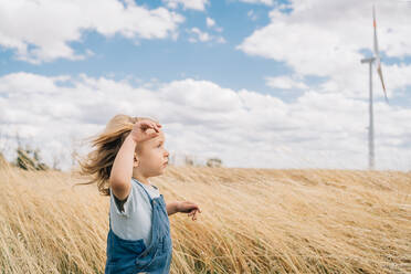 Toddler boy in wind farm field - CAVF95581