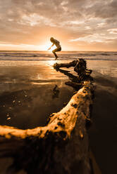 Teenager jumping from driftwood tree on New Zealand beach - CAVF95664