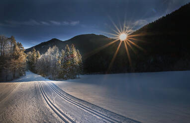 Idyllischer Blick auf den Winterwald bei Sonnenaufgang - MRF02501