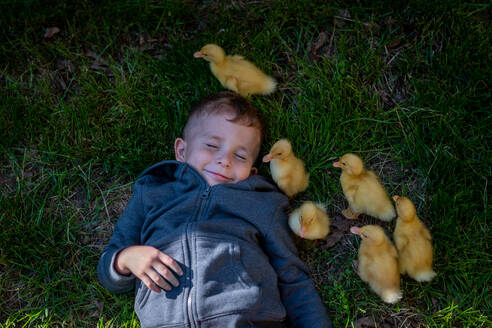 Kleiner Junge lacht, während sechs Baby-Enten um ihn herumlaufen - CAVF95733
