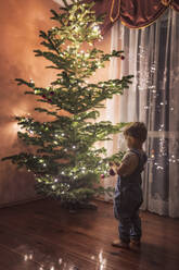 Kleinkind in blauem Overall schmückt zum ersten Mal einen Weihnachtsbaum - CAVF95745