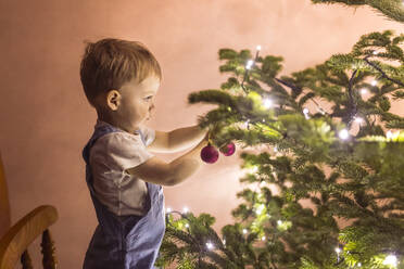 Konzentrierter kleiner Junge beim Schmücken des Weihnachtsbaums - CAVF95746