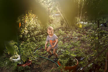 Kleiner Junge lacht und läuft vor dem Wasserschlauch im Garten davon - CAVF95752