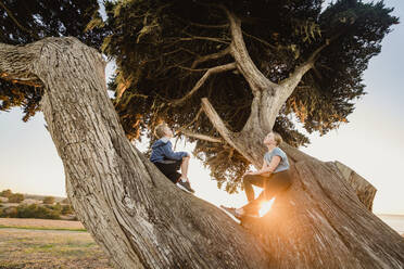 Vereinigte Staaten, Kalifornien, Cambria, Junge (10-11) und Mädchen (12-13) sitzen auf Baum in Landschaft bei Sonnenuntergang - TETF00361