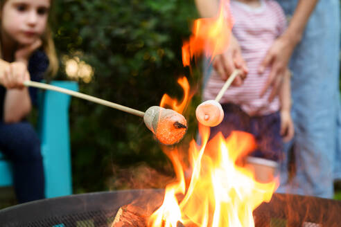 Family toasting marshmallows over brazier - TETF00375