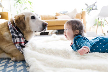 Kleines Mädchen und Hund auf Teppich liegend - TETF00400