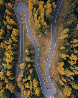 Luftaufnahme einer kurvenreichen Bergstraße, die durch den Wald führt, Dolomiten, Italien. - AAEF14154