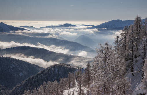 Kahle Bäume an Bergen mit Nebel in Piemont, Italien - TETF00521