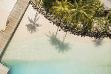 Aerial Top Down View of Palm Tree Schatten auf weißem Sandstrand in Süd-Male, Malediven. - AAEF14177