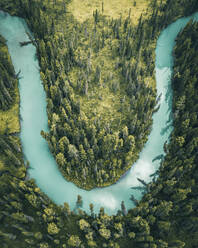 Luftaufnahme eines Flusses, der den Wald in der Nähe von Verkh-Uymonskoe, Altai-Region, Russland, durchquert. - AAEF14197
