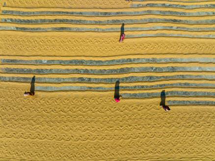 Aerial view of people working in a rice mill field, Dhamrai, Dhaka, Bangladesh. - AAEF14210