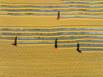 Luftaufnahme von Menschen, die auf einem Reismühlenfeld arbeiten, Dhamrai, Dhaka, Bangladesch. - AAEF14210