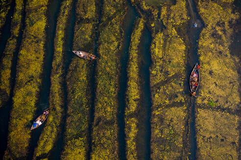 Aerial view of a traditional fishing canoe sailing in a swamp, Dhaka, Bangladesh. - AAEF14216