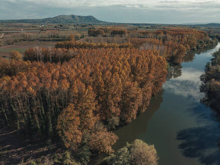 Luftaufnahme von Bäumen in der Landschaft entlang des Flusses Ter in Girona, Spanien. - AAEF14223