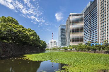Japan, Kanto Region, Tokyo, Chiyoda City moat in summer - FOF12946